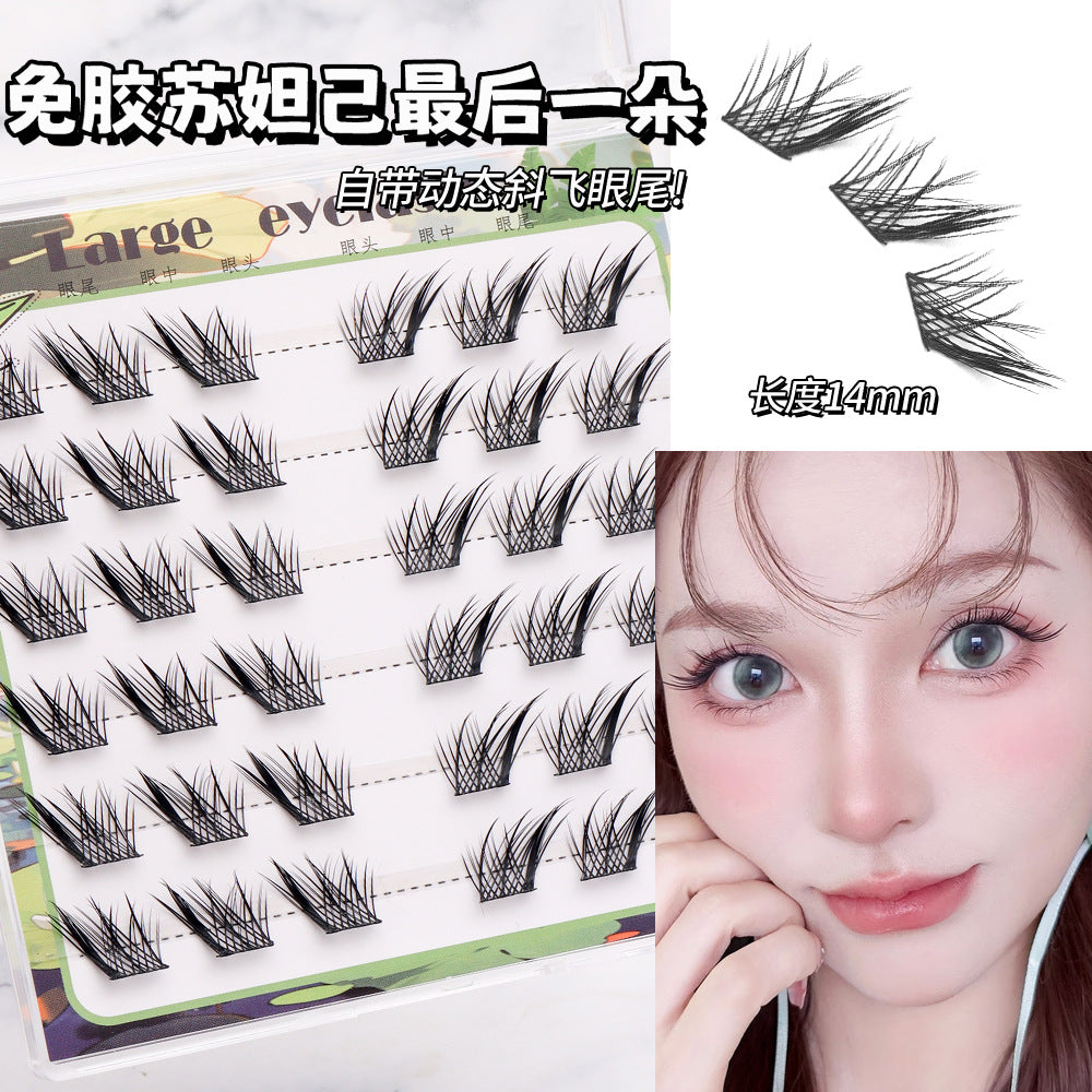 Light-Colored Glue less Natural  Eyelashes