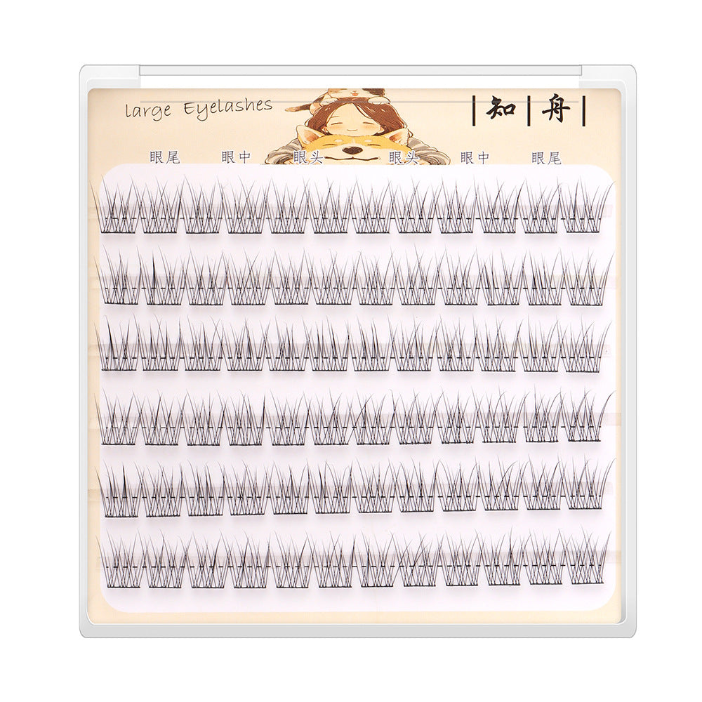 Light-Colored Glue less Natural  Eyelashes
