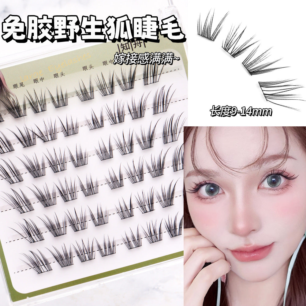 Light-Colored Glue less Natural  Eyelashes