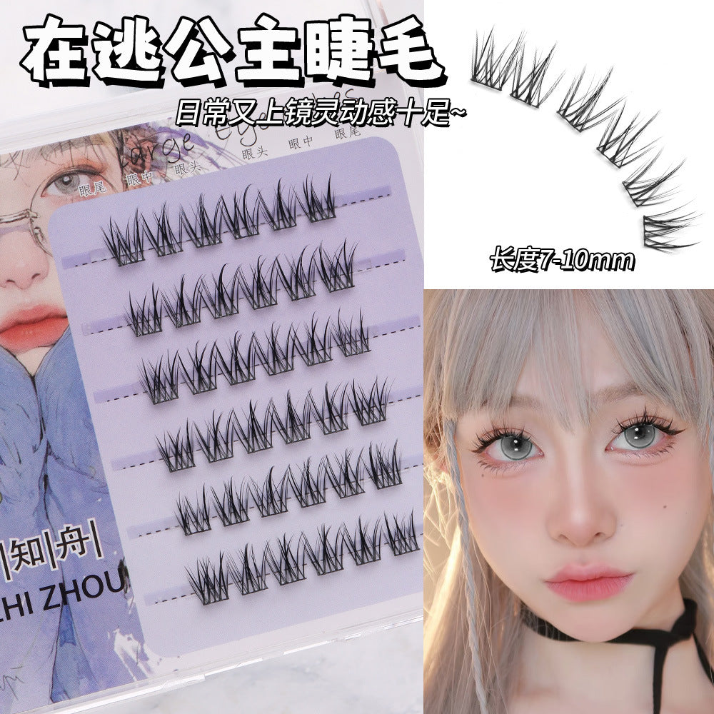 Light-Colored Glue less Natural  Eyelashes