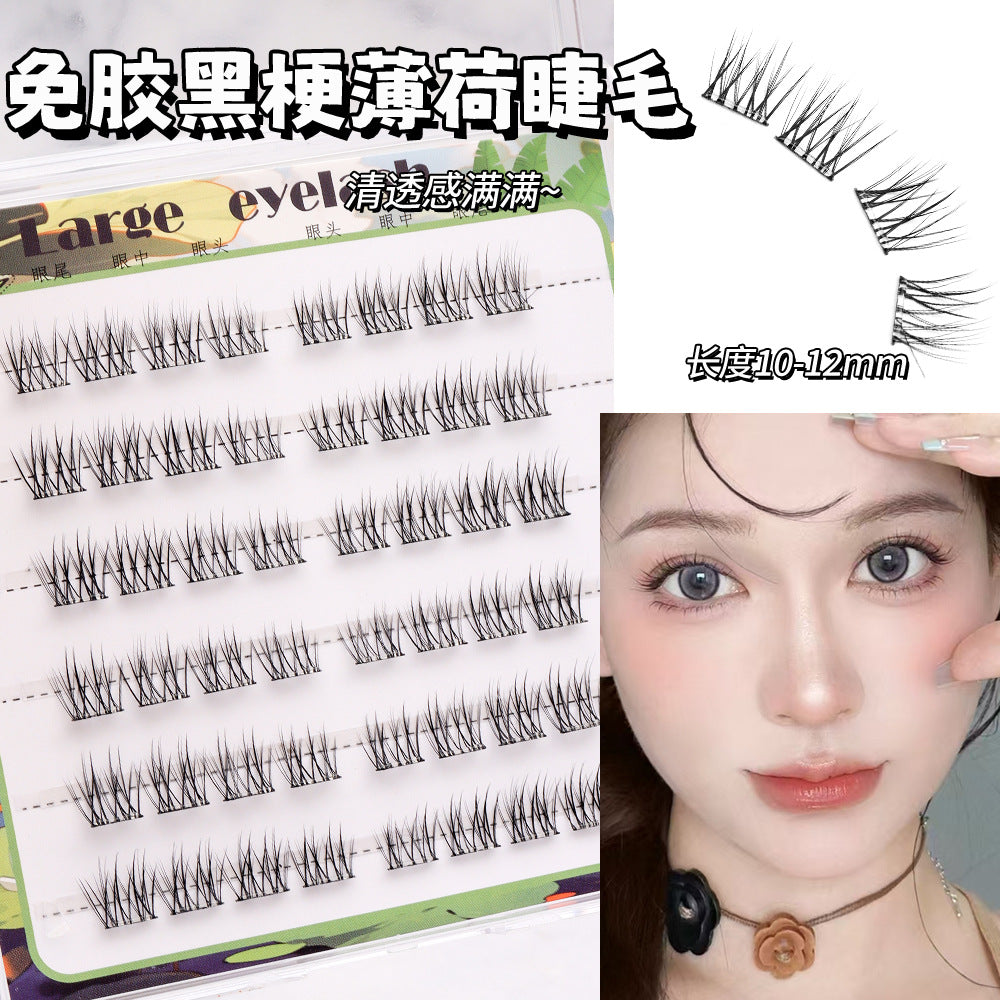 Light-Colored Glue less Natural  Eyelashes