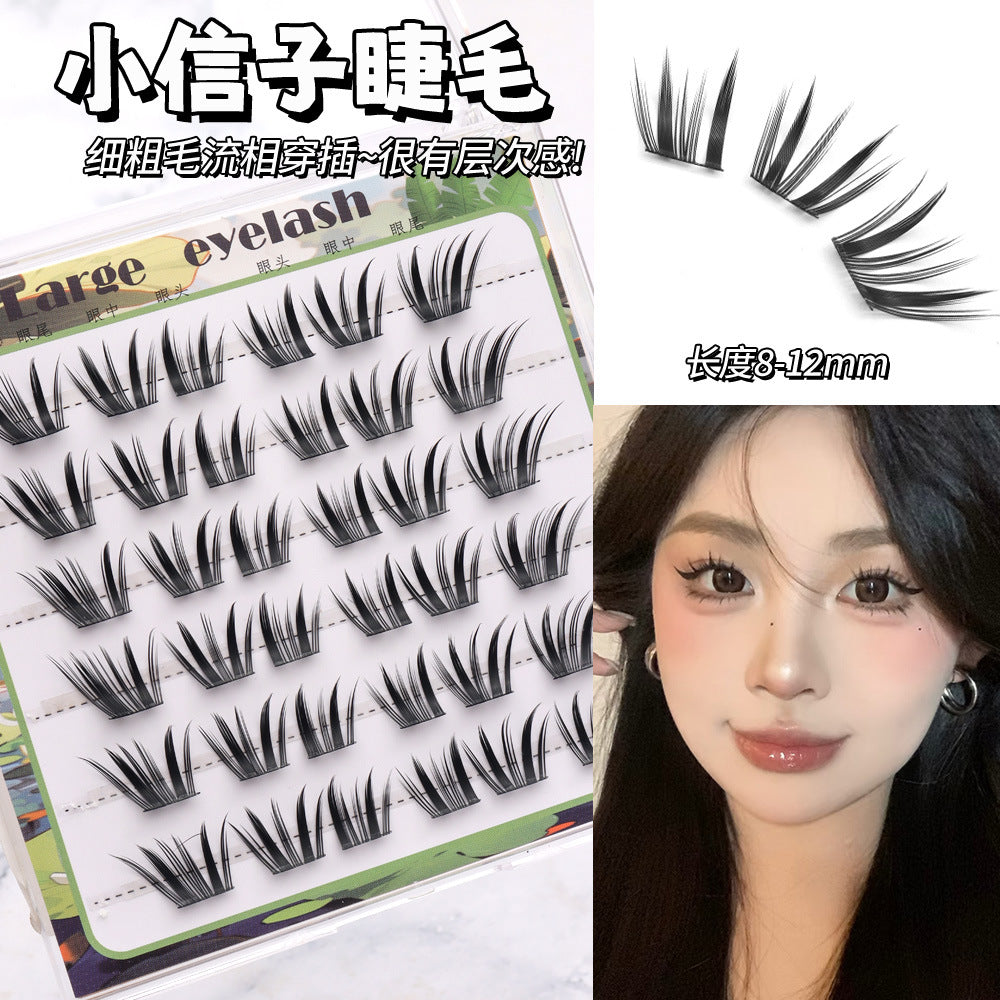 Light-Colored Glue less Natural  Eyelashes
